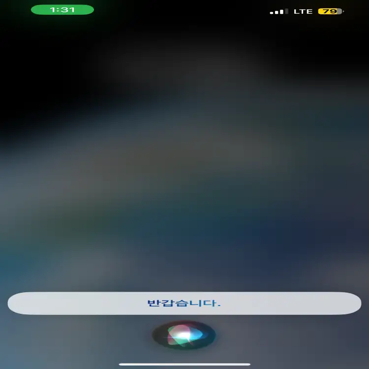 시리-응답-반응