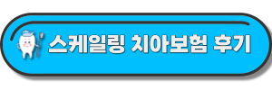 스케일링-치아보험-후기-글-링크-사진