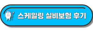스케일링-실비보험-글-링크-사진