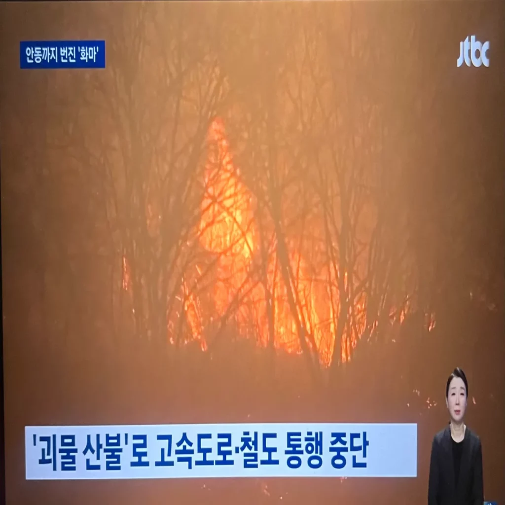 티비에서-산불-피해에-관한-속보가-방송되고-있는-모습