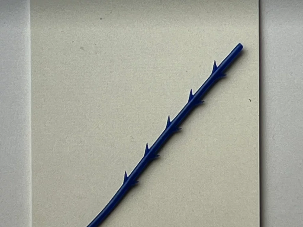 실제-코그실-모양-사진