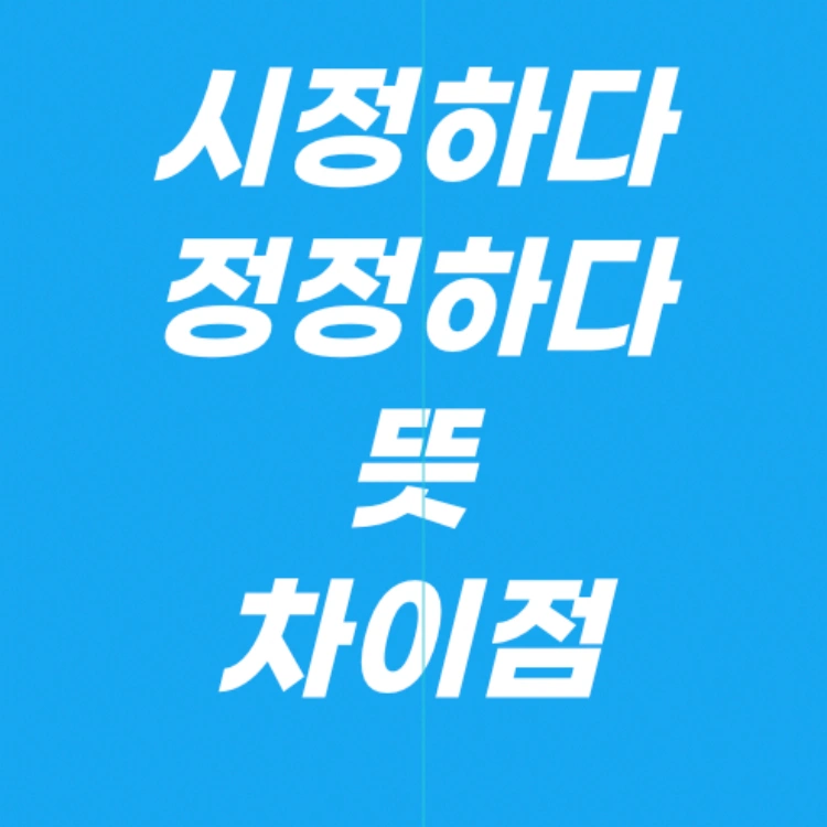 시정하다-정정하다-뜻-차이점