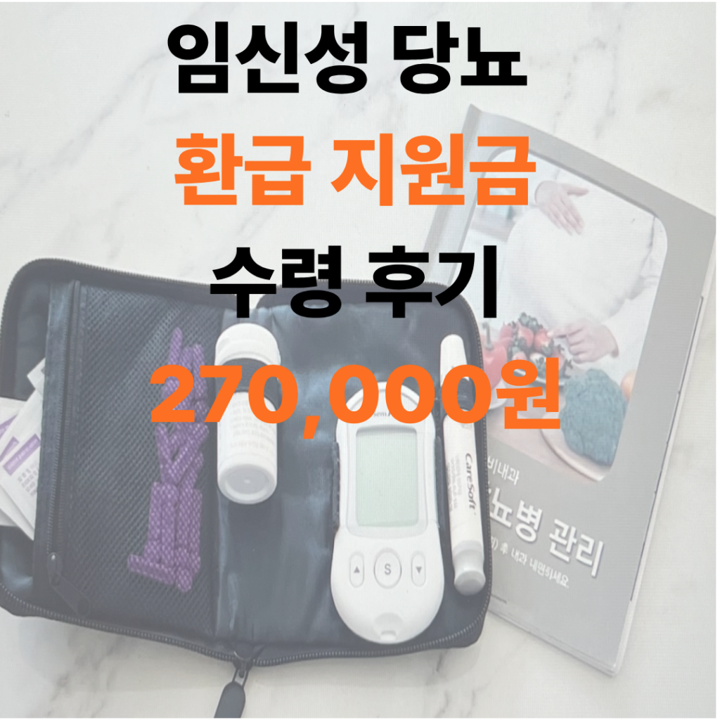 임신성 당뇨 환급 지원금 신청 방법 안내배너