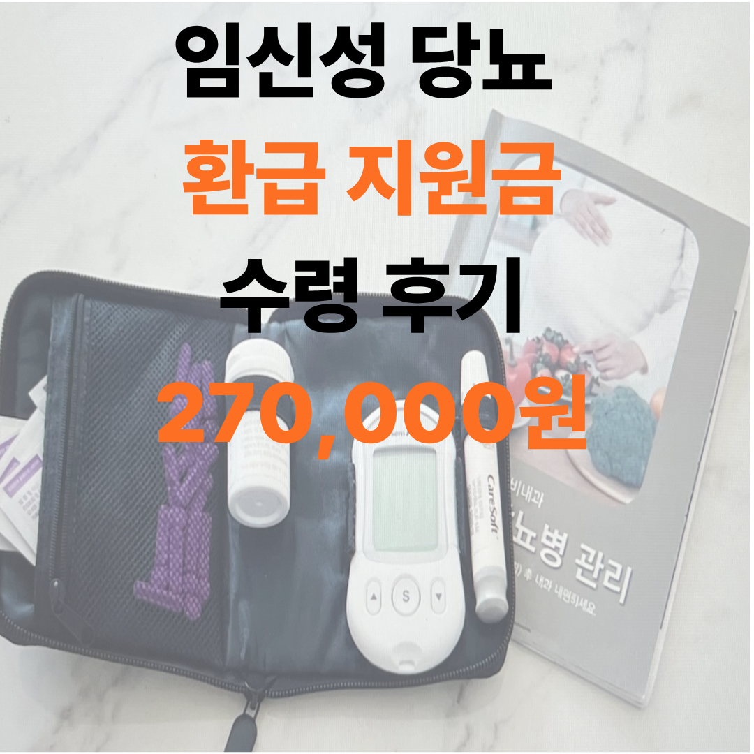 임신성 당뇨 환급 지원금 신청 방법 안내배너