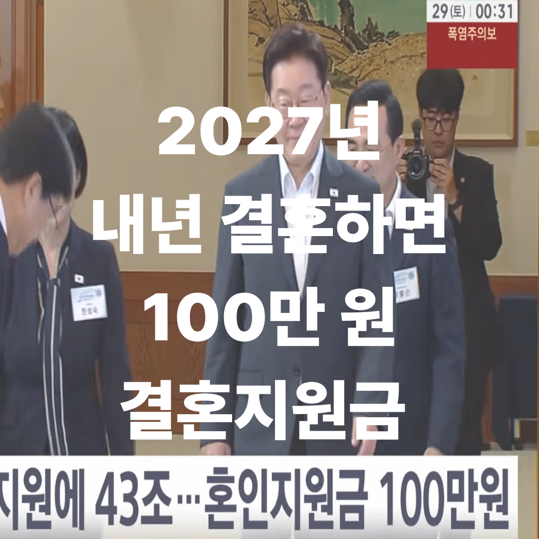 내년 결혼하면 100만원 준다는 결혼 혼인지원금 뉴스방송 일부 캡쳐