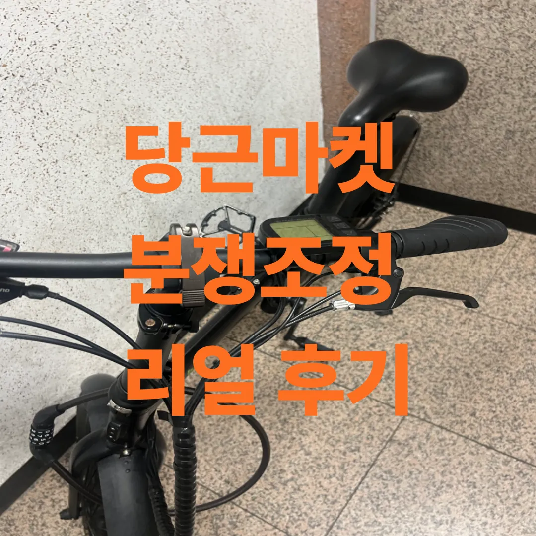 당근마켓 분쟁조정 후기를 작성하기 위해 찍은 판매물품